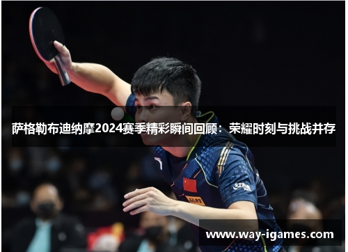 萨格勒布迪纳摩2024赛季精彩瞬间回顾:荣耀时刻与挑战并存 萨格勒布迪纳摩2024赛季精彩瞬间回顾:荣耀时刻与挑战并存