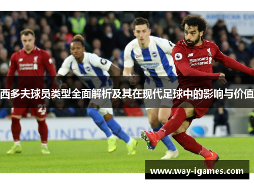 西多夫球员类型全面解析及其在现代足球中的影响与价值
