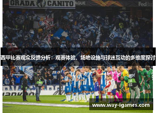 西甲比赛观众反馈分析:观赛体验、场地设施与球迷互动的多维度探讨 西甲比赛观众反馈分析:观赛体验、场地设施与球迷互动的多维度探讨