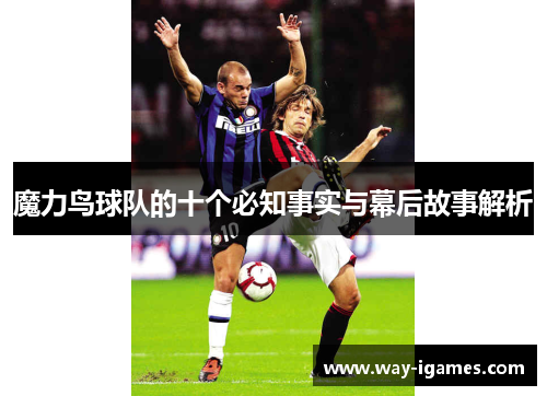 魔力鸟球队的十个必知事实与幕后故事解析